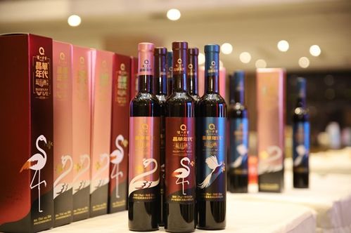 新年代 新贵酒 新机遇 泸州老窖果酒酒业新品 蓝莓酒 上市发布会